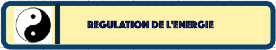 Régulation de l'énergie